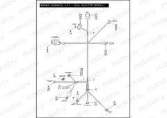 WIRING HARNESS, E.F.I. - FUEL INJECTED MODELS