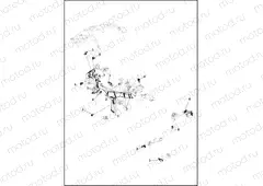 WIRING HARNESS, ENGINE (1 OF 4)