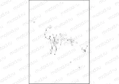 WIRING HARNESS, ENGINE (1 OF 4)