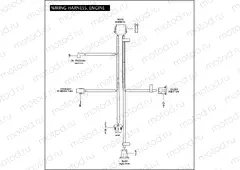 WIRING HARNESS, ENGINE