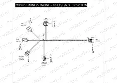 WIRING HARNESS, ENGINE - 883/C/L/N/R, 1200C/L/N/R