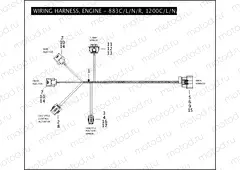 WIRING HARNESS, ENGINE - 883C/L/N/R, 1200C/L/N/X
