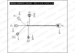 WIRING HARNESS, ENGINE - 883/C/L/R, 1200C/L/N/R