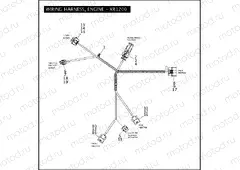 WIRING HARNESS, ENGINE - XR1200
