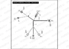 WIRING HARNESS, ENGINE - XR1200/X