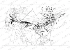WIRING HARNESS (EU)