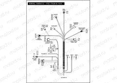WIRING HARNESS - FXD, FXDB & FXDL (1 OF 2)