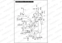 WIRING HARNESS - FXD, FXDL, FXDX (1 OF 2)