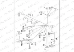 WIRING HARNESS - FXD, FXDL, FXDX, FXDXT (1 OF 2)