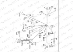 WIRING HARNESS - FXD, FXDL, FXDX & FXDXT (2 OF 2)