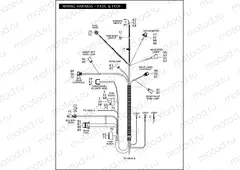 WIRING HARNESS - FXDC & FXDF (1 OF 2)