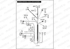 WIRING HARNESS - FXDC, FXDF & FXDWG (1 OF 2)