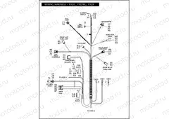WIRING HARNESS - FXDC & FXDWG (1 of 2)