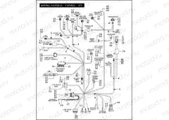 WIRING HARNESS - FXDWGI - EFI (1 OF 2)