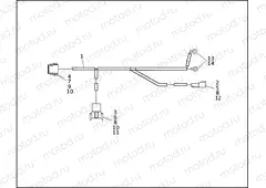 WIRING HARNESS - IGNITION MODULE