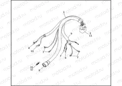 WIRING HARNESS - IGNITION MODULE