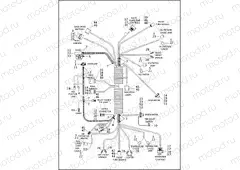 WIRING HARNESS, INTERCONNECT
