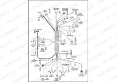 WIRING HARNESS, INTERCONNECT
