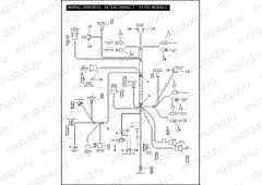 WIRING HARNESS, INTERCONNECT - FLTRI MODELS