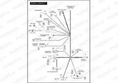WIRING HARNESS, MAIN