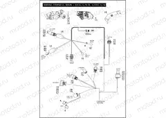 WIRING HARNESS, MAIN - 883C/L/N/R, 1200C/L/N/X (1 OF 2)
