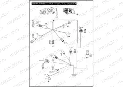 WIRING HARNESS, MAIN - 883/C/L/R, 1200C/L/N/R