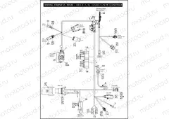 WIRING HARNESS, MAIN - 883/C/L/R, 1200C/L/N/R (CONTINUED)
