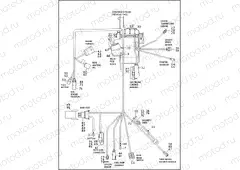 WIRING HARNESS, MAIN - 883L/N/R, 1200C/CA/CB/CP/V/X (2 OF 4)