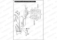 WIRING HARNESS, MAIN, ABS (FAIRING MODELS) (3 OF 6)