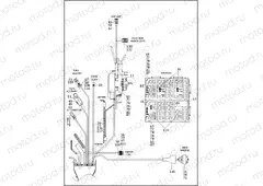 WIRING HARNESS, MAIN, ABS - FLHP (3 OF 5)
