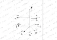 WIRING HARNESS, MAIN, ABS - FLSTC, FLSTF, FLSTN & FLSTFB (5 OF 5)