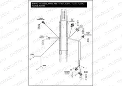 WIRING HARNESS, MAIN, ABS - FLSTC, FLSTF, FLSTN, FLSTFB, FLSTSB & FXST (2 OF 5)