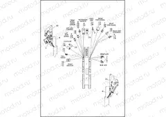 WIRING HARNESS, MAIN, ABS - FLSTF, FLSTFB AND FLSTFBS (1 OF 5)