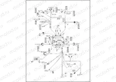 WIRING HARNESS, MAIN - CARBURETED (2 OF 2)