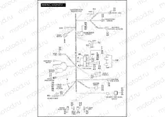 WIRING HARNESS, MAIN (CONTINUED)