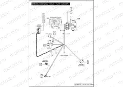 WIRING HARNESS, MAIN - FLHP & FLHPE (CONTINUED)