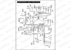 WIRING HARNESS, MAIN - FLHPI & FLHPEI (1 OF 2)