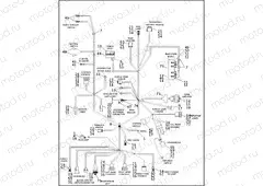 WIRING HARNESS, MAIN - FLHPI & FLHPEI (2 OF 2)
