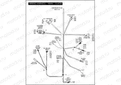 WIRING HARNESS, MAIN - FLHPI & FLHPEI (CONTINUED)