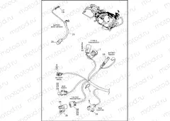 WIRING HARNESS, MAIN - FLHR, FLHRXS (10 OF 10)