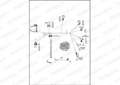 WIRING HARNESS, MAIN - FLHTCUTG (8 OF 8)