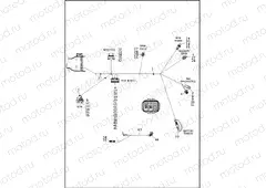 WIRING HARNESS, MAIN - FLRT (8 OF 8)