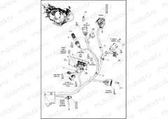 WIRING HARNESS, MAIN - FLTRK (2 OF 10)