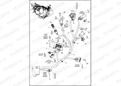 WIRING HARNESS, MAIN - FLTRX, FLTRXS (2 OF 10)