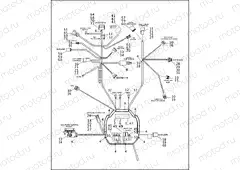 WIRING HARNESS, MAIN - FUEL INJECTED (1 OF 2)