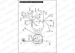 WIRING HARNESS, MAIN - FUEL INJECTED (1 OF 2)