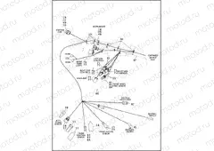 WIRING HARNESS, MAIN, KEYLESS, ABS (1 OF 4)