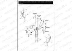 WIRING HARNESS, MAIN, NON-ABS - FXST, FLSTC, FLSTF, FLSTN & FLSTFB (1 OF 5)