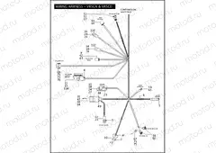WIRING HARNESS - VRSCA & VRSCD