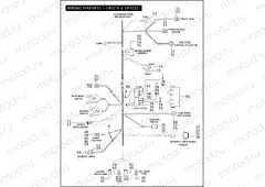 WIRING HARNESS - VRSCA & VRSCD (CONTINUED)